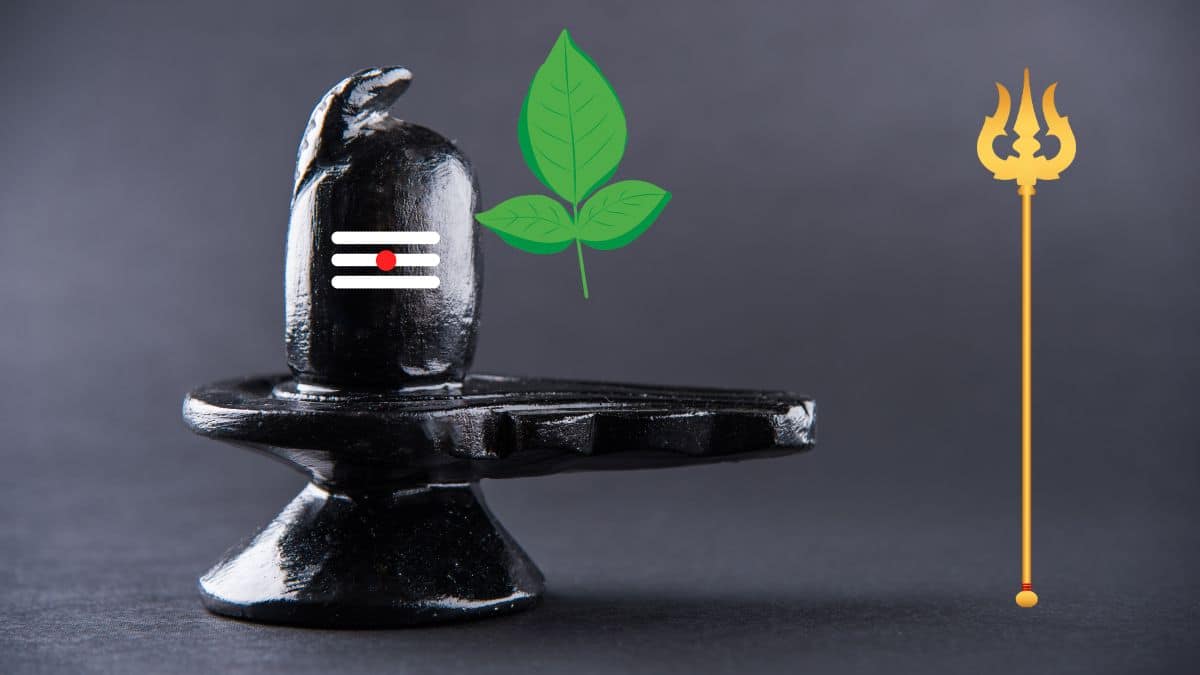 What to Offer on Shivling on Mahashivratri?